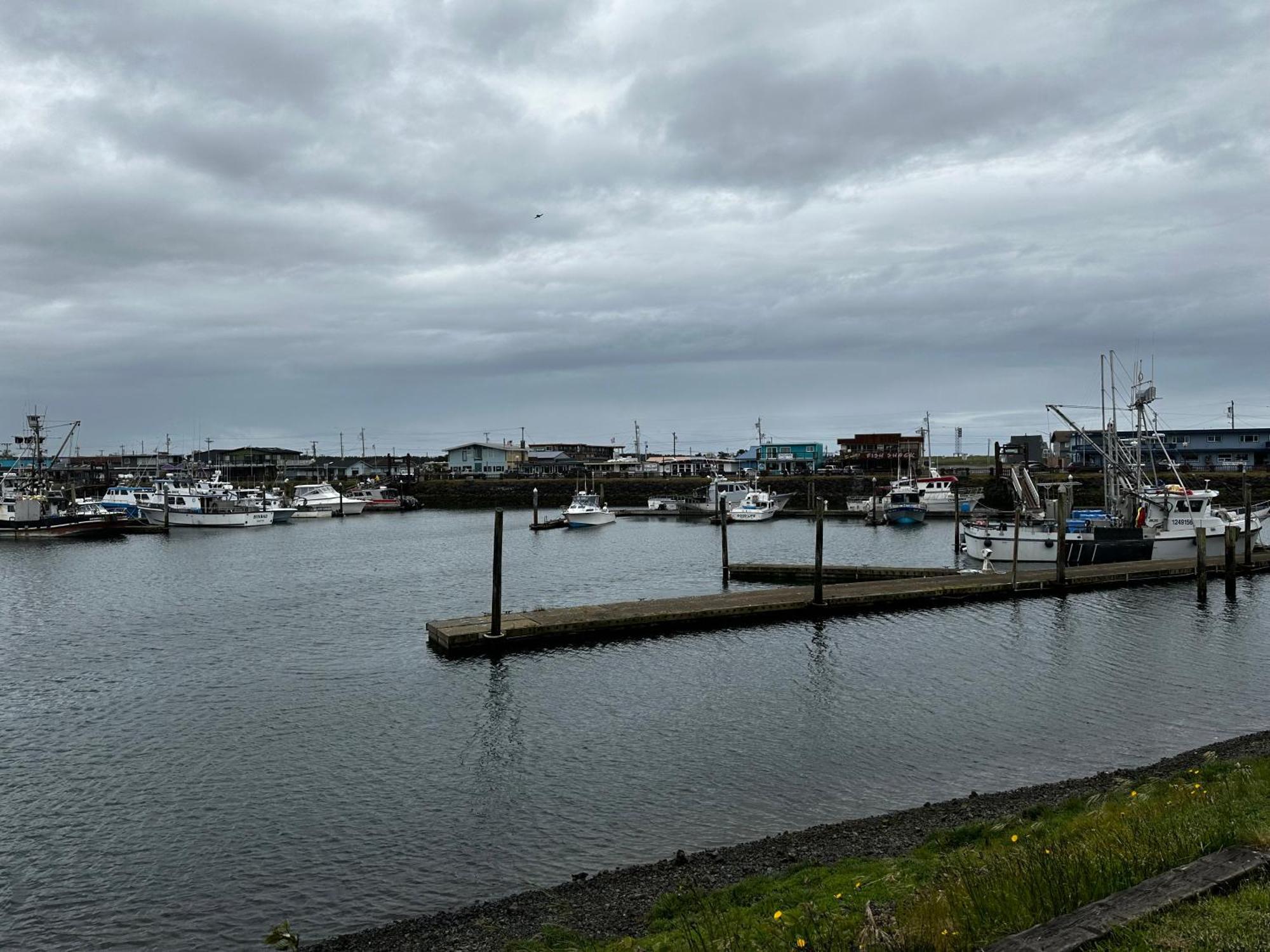 Westport Marina Cottages Buitenkant foto