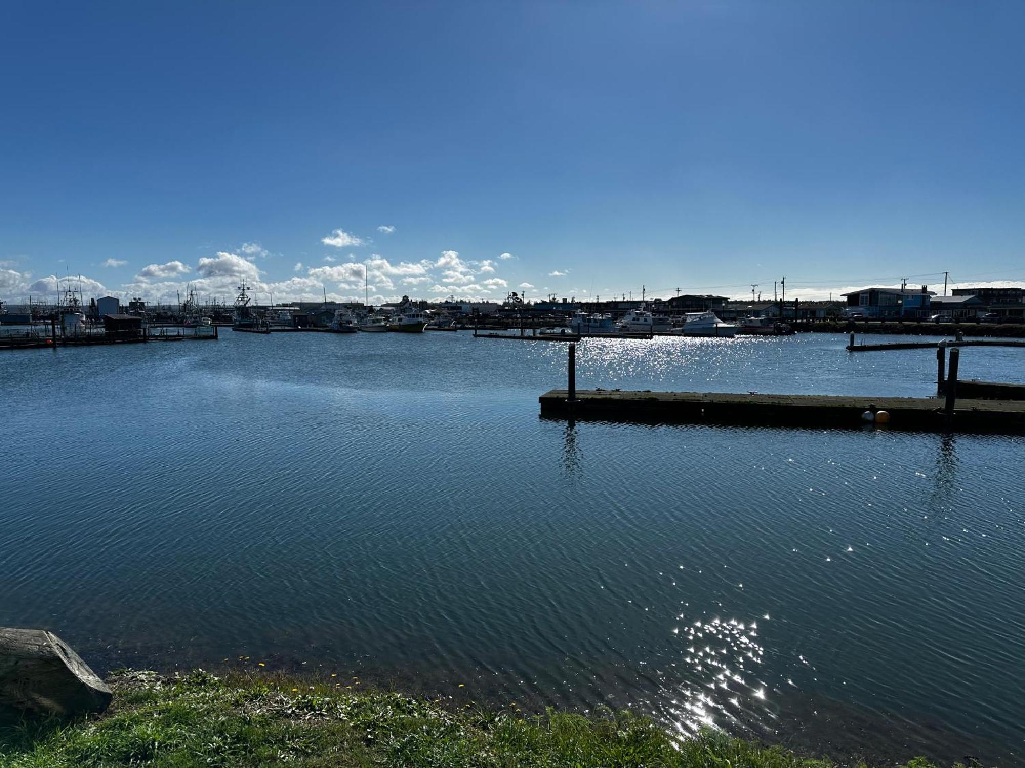 Westport Marina Cottages Buitenkant foto