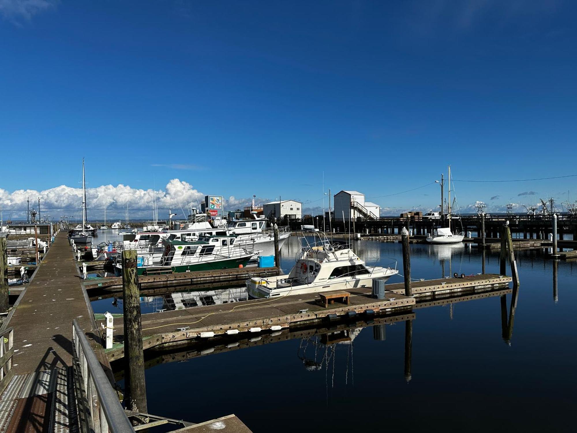 Westport Marina Cottages Buitenkant foto